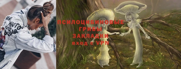PSILOCYBIN Арсеньев